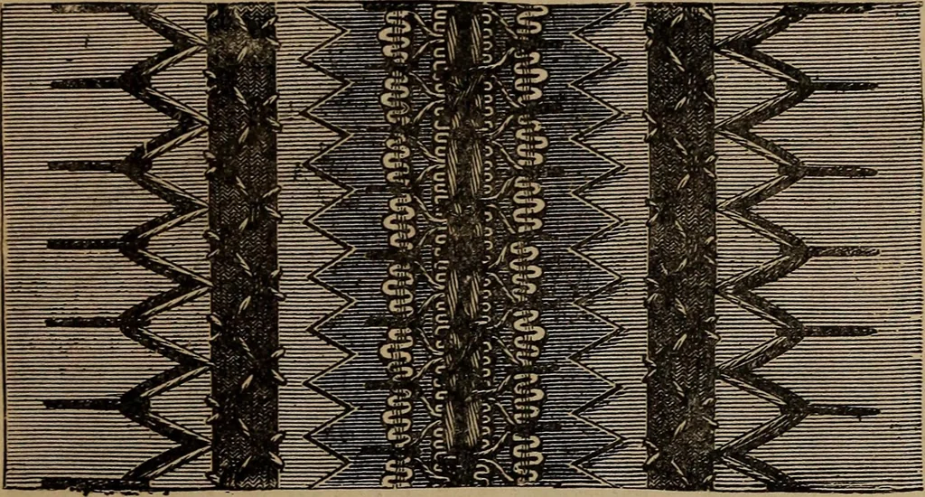 An illustration from Artistic embroidery : containing practical instructions in the ornamental branches of needlework, 1880, leaf 76