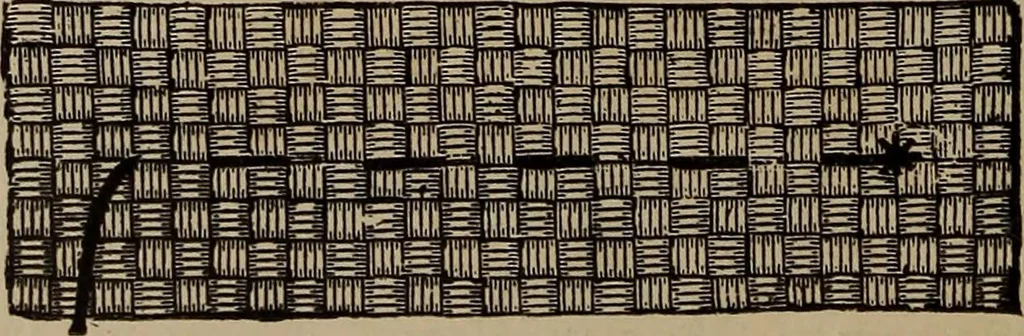 An illustration from Artistic embroidery : containing practical instructions in the ornamental branches of needlework, 1880, leaf 93