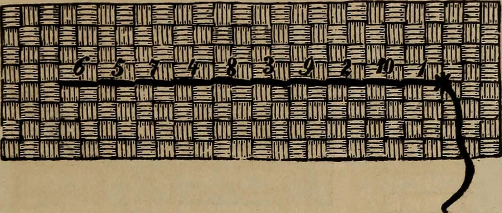 An illustration from Artistic embroidery : containing practical instructions in the ornamental branches of needlework, 1880, leaf 94