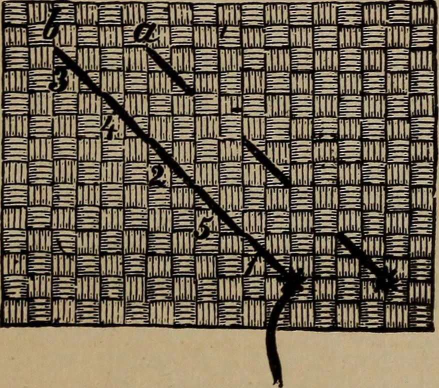 An illustration from Artistic embroidery : containing practical instructions in the ornamental branches of needlework, 1880, leaf 94