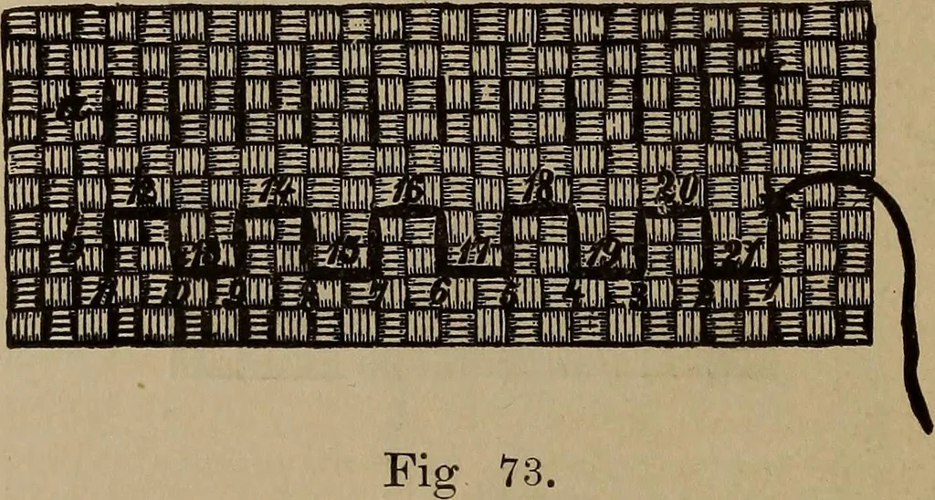 An illustration from Artistic embroidery : containing practical instructions in the ornamental branches of needlework, 1880, leaf 95