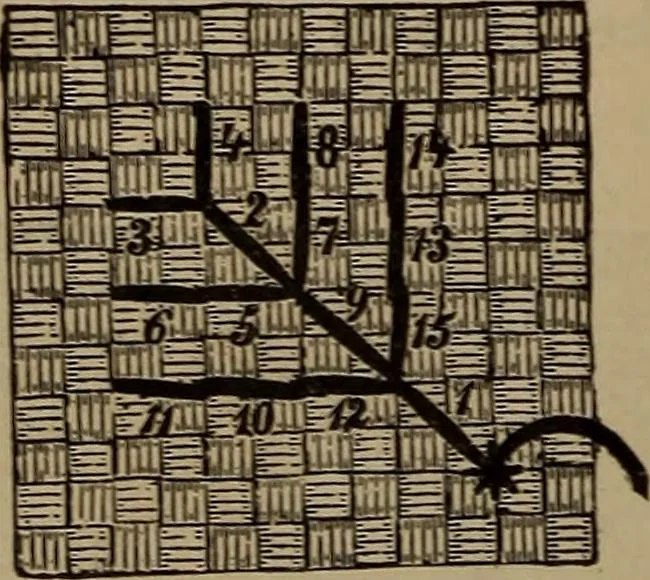 An illustration from Artistic embroidery : containing practical instructions in the ornamental branches of needlework, 1880, leaf 99