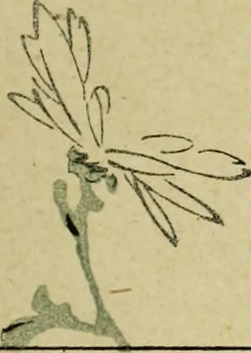 An illustration from Artistic Japan : illustrations and essays, 1881, leaf 131