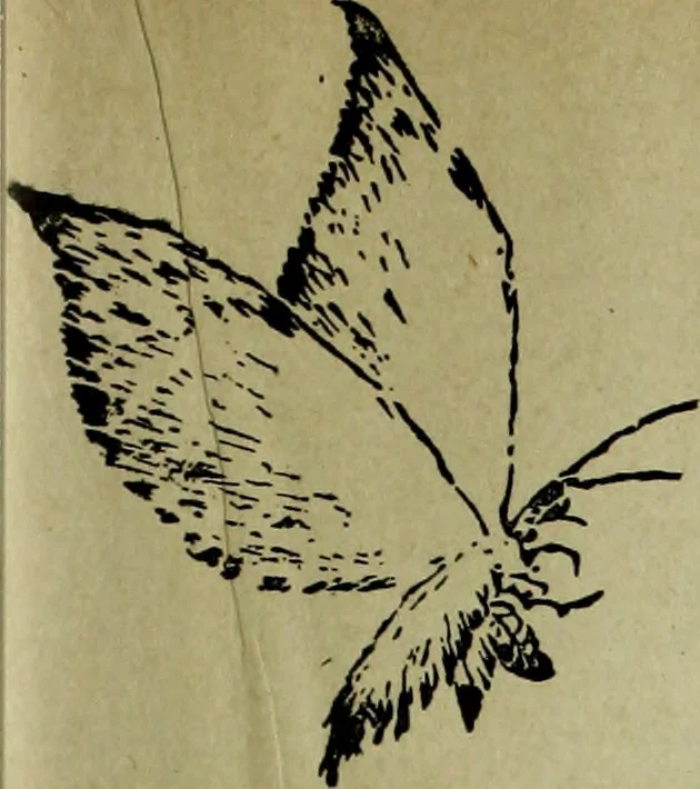 An illustration from Artistic Japan : illustrations and essays, 1881, leaf 16
