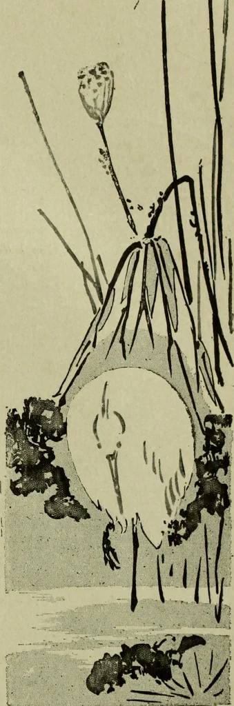 An illustration from Artistic Japan : illustrations and essays, 1881, leaf 16