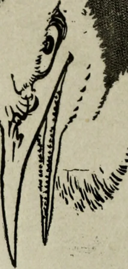 An illustration from Artistic Japan : illustrations and essays, 1881, leaf 182
