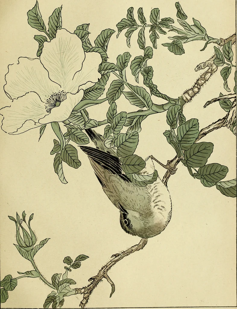 An illustration from Artistic Japan : illustrations and essays, 1881, leaf 208