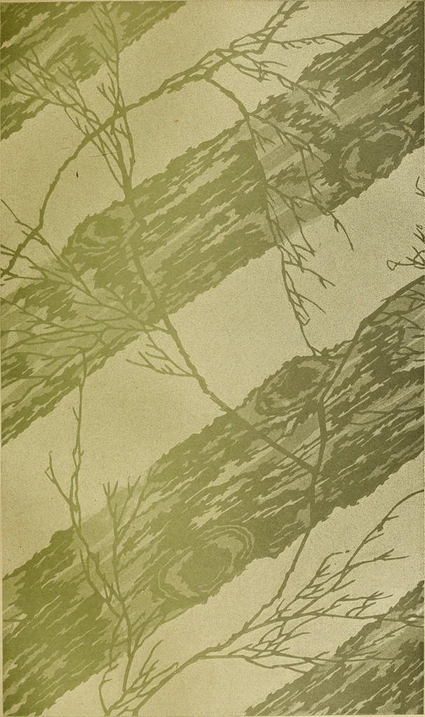 An illustration from Artistic Japan : illustrations and essays, 1881, leaf 38