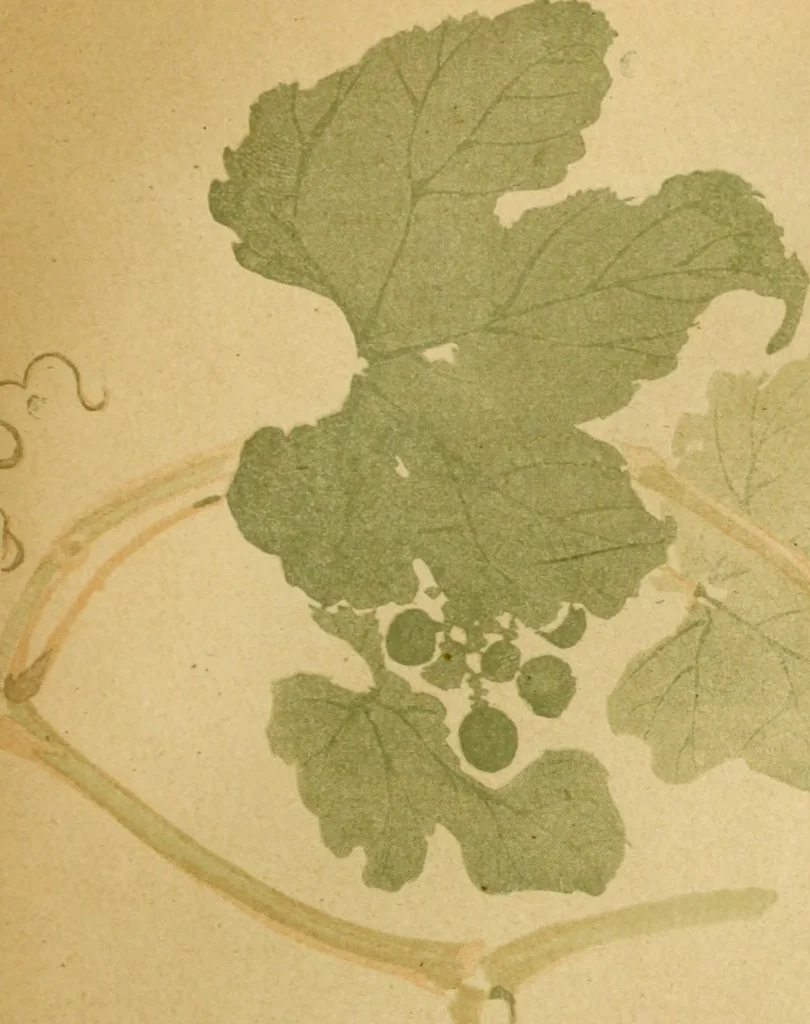 An illustration from Artistic Japan : illustrations and essays, 1881, leaf 75