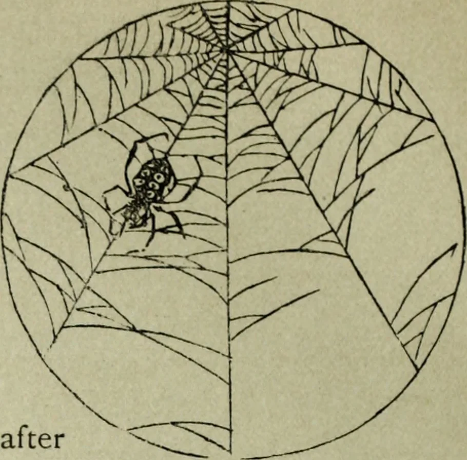 An illustration from Artistic Japan : illustrations and essays, 1881, leaf 84