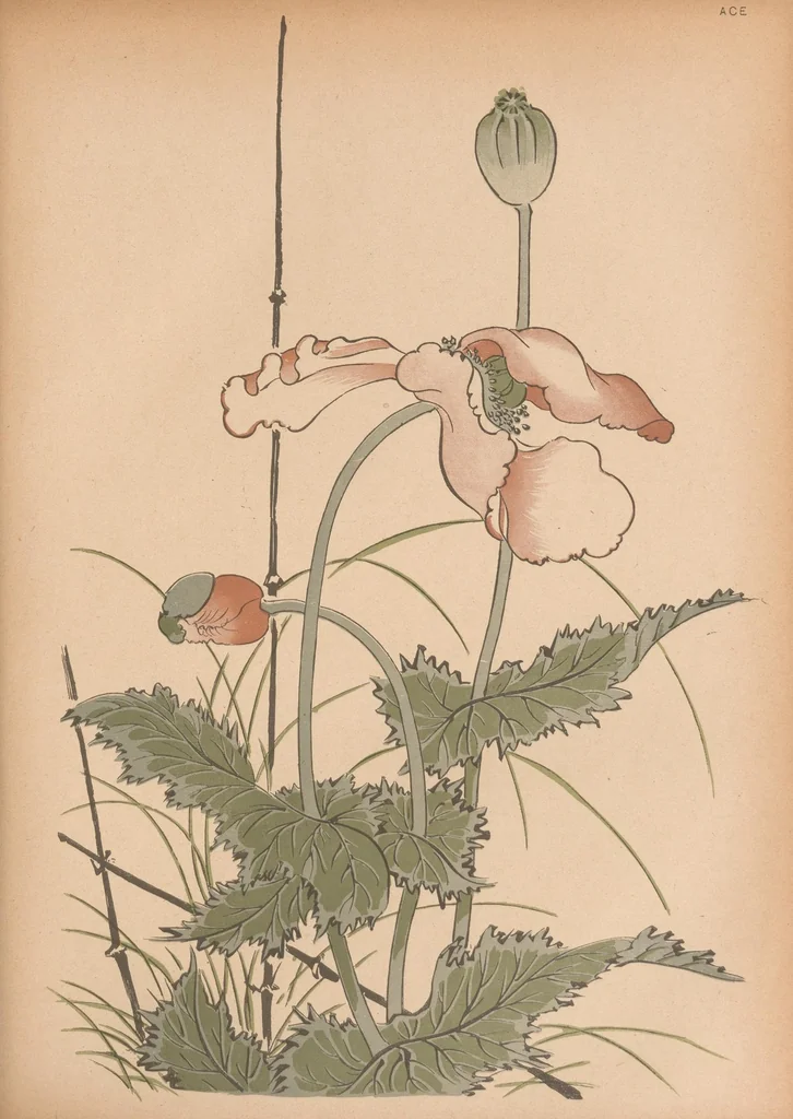 An illustration from Artistic Japan : illustrations and essays, 1888, leaf 29
