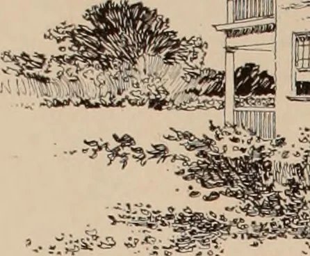 An illustration from Artistic modern homes : book number two., 1902, leaf 21