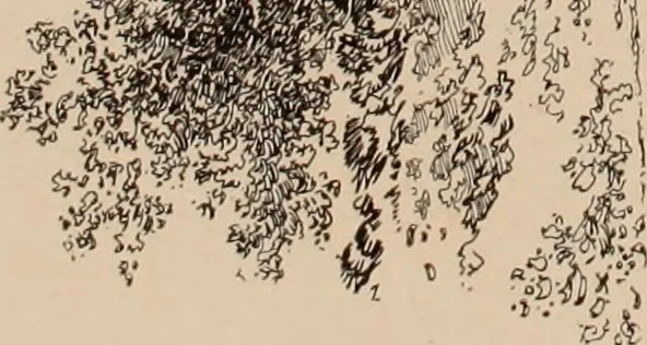 An illustration from Artistic modern homes : book number two., 1902, leaf 54