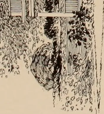 An illustration from Artistic modern homes : book number two., 1902, leaf 6