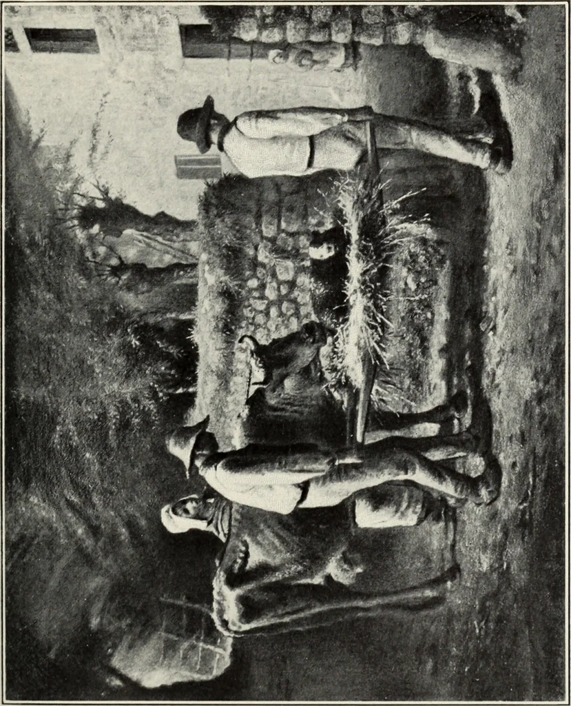 An illustration from Artist and public, and other essays on art subjects, 1914, leaf 100