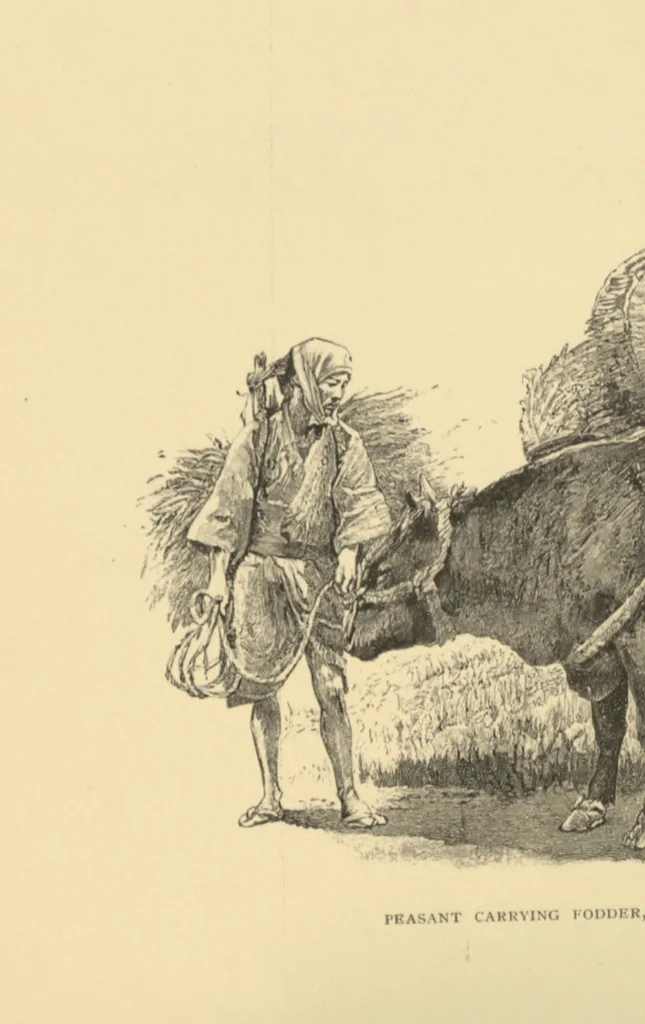 An illustration from An artist's letters from Japan, 1897, leaf 288