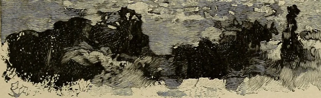 An illustration from An artist's letters from Japan, 1897, leaf 252