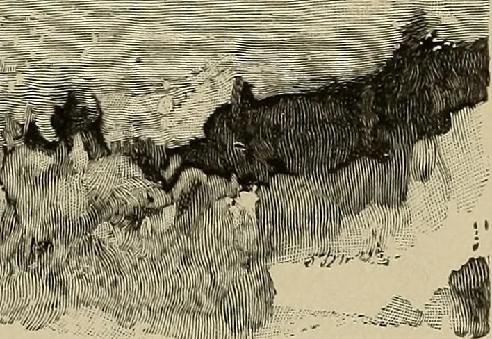 An illustration from An artist's letters from Japan, 1897, leaf 252