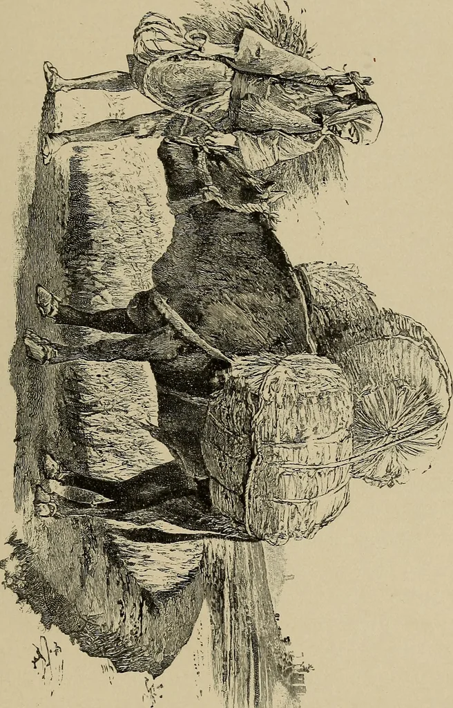 An illustration from An artist's letters from Japan, 1897, leaf 288