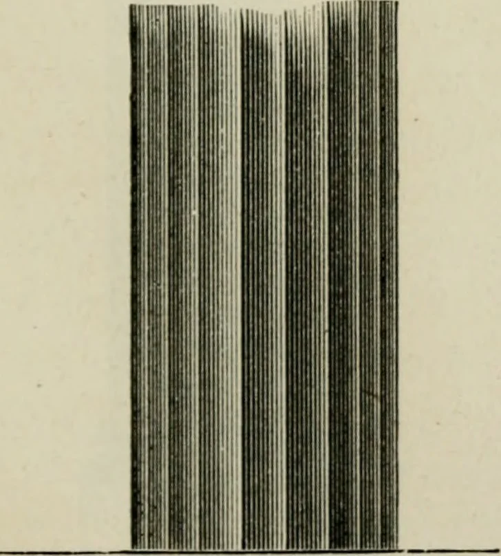 An illustration from Art: its laws, and the reasons for them, 1871, leaf 242