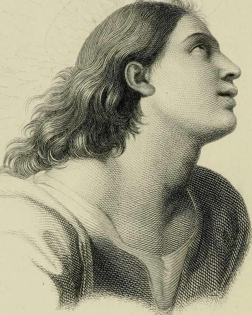An illustration from Art: its laws, and the reasons for them, 1871, leaf 5