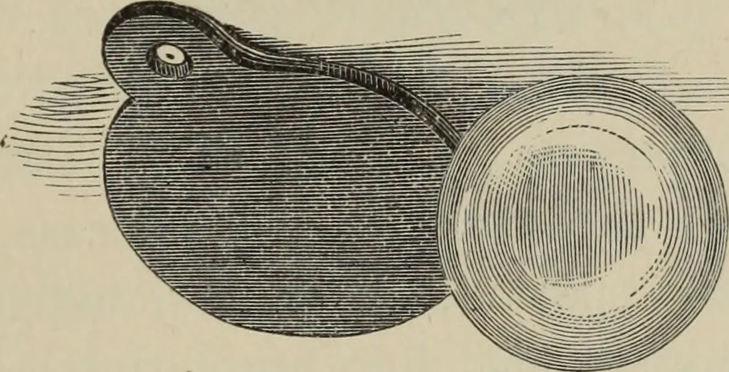 An illustration from Art magic; or, Mudane, sub-mundane and super-mundane spiritism. A treatise ... descriptive of art magic, spiritism, the different orders of spirits in the universe known to be related to, or in communication with man; together with directions for invoking, controlling, and discharging spirits, and the uses and abuses, dangers and possibilities of magical art, 1876, leaf 432