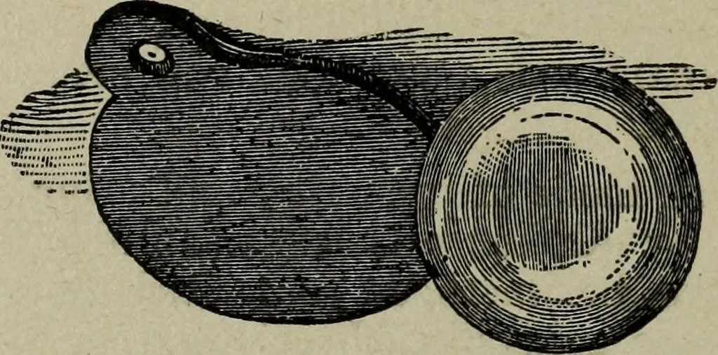 An illustration from Art magic, or, Mudane, sub-mundane and super-mundane spiritism [microform] a treatise in three parts and twenty-three sections, descriptive of art magic, spiritism, the different orders of spirits in the universe known to be related to, or in communication with man; together with directions for invoking, controlling, and discharging spirits, and the uses and abuses, dangers and possibilities of magical art, 1898, leaf 335