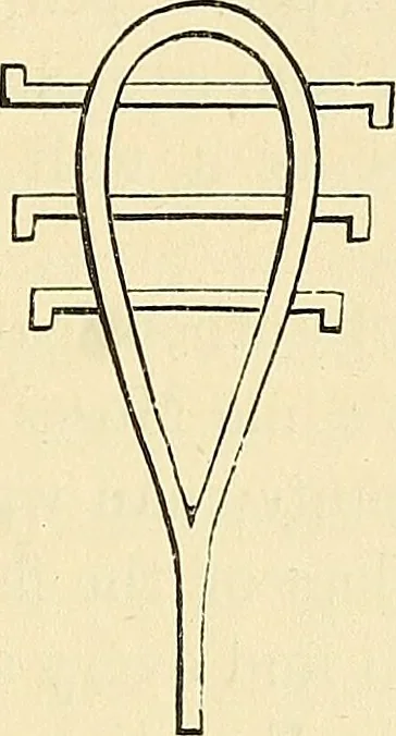 An illustration from Art magic; or, Mundane, sub-mundane and super-mundane spiritism. A treatise in three parts and twenty-three sections: descriptive of art magic, spiritism, the different orders of spirits in the universe known to be related to, or in communication with man; together with directions for invoking, controlling, and discharging spirits, and the uses and abuses, dangers and possibilities of magical art, 1876, leaf 244