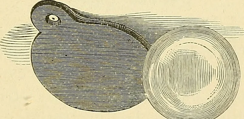 An illustration from Art magic; or, Mundane, sub-mundane and super-mundane spiritism. A treatise in three parts and twenty-three sections: descriptive of art magic, spiritism, the different orders of spirits in the universe known to be related to, or in communication with man; together with directions for invoking, controlling, and discharging spirits, and the uses and abuses, dangers and possibilities of magical art, 1876, leaf 432