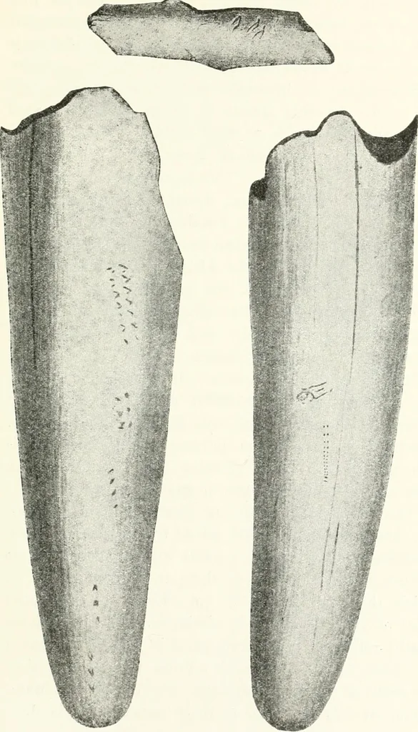 An illustration from Art and man, comparative art studies, 1918, leaf 186