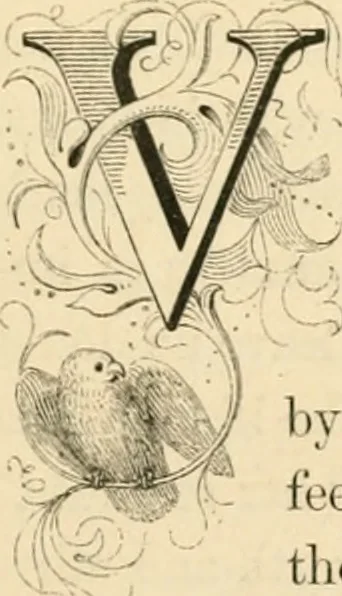 An illustration from Art and nature under an Italian sky, 1852, leaf 16
