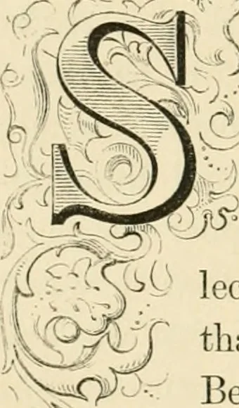 An illustration from Art and nature under an Italian sky, 1852, leaf 205