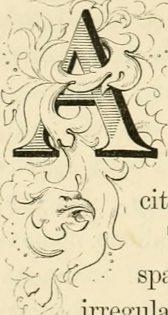 An illustration from Art and nature under an Italian sky, 1852, leaf 297