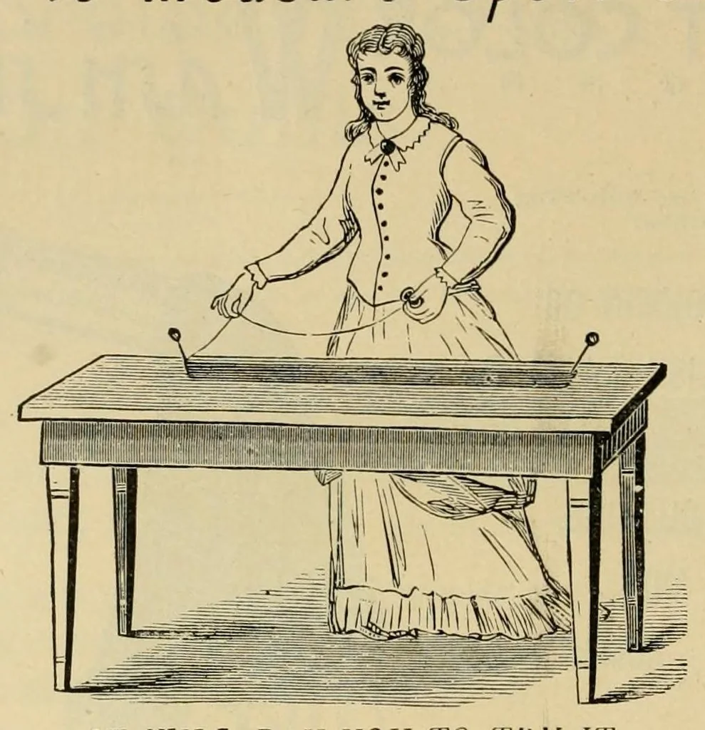 An illustration from Art needlework, 1891, leaf 98