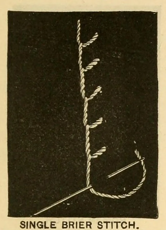 An illustration from Art needlework, 1893, leaf 101