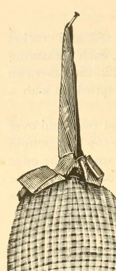 An illustration from Art needlework, 1893, leaf 72