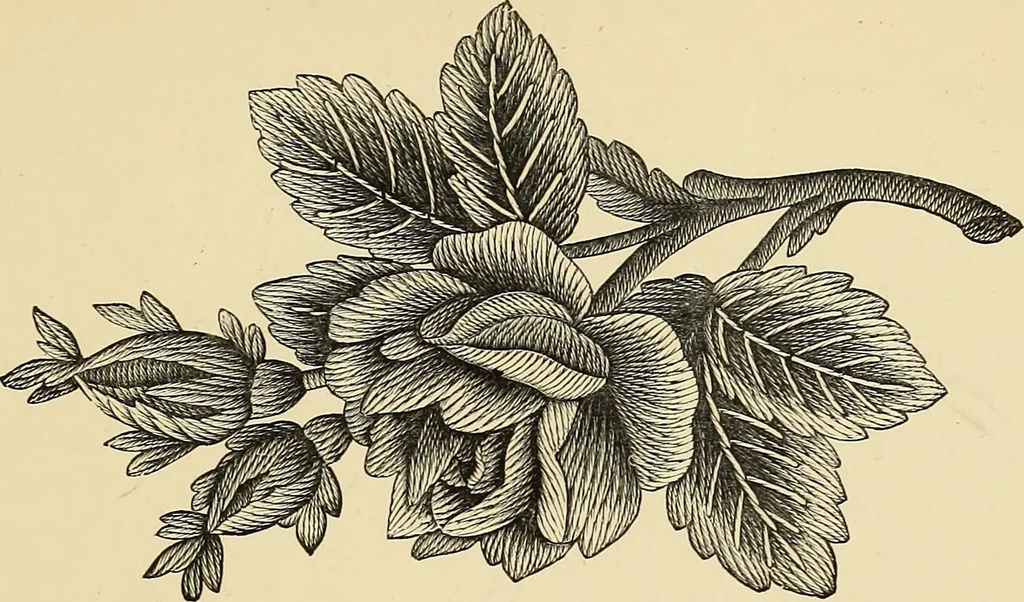 An illustration from Art needlework. A complete manual of embroidery in silks and crewels, with full instructions as to stitches, materials, and implements. Containing also a large number of original designs and a handsome coloured design for crewel work, 1882, leaf 16