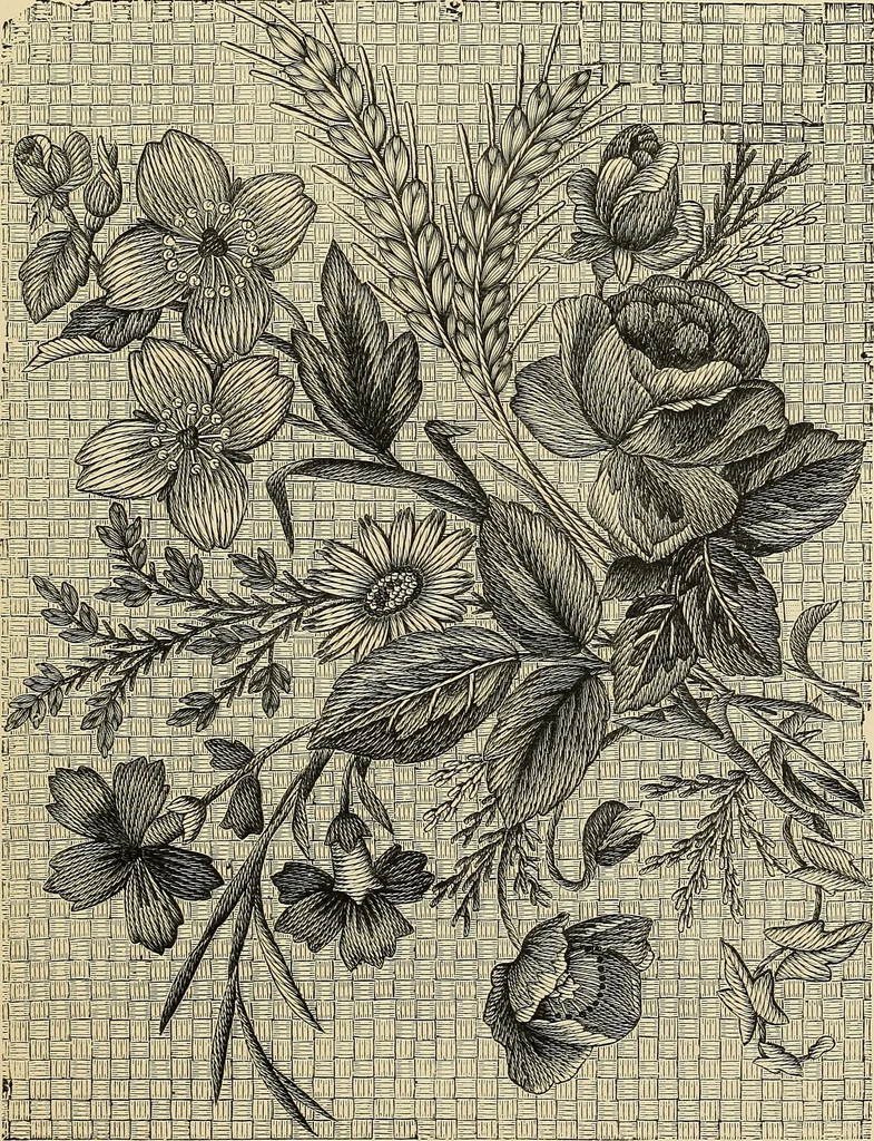 An illustration from Art needlework. A complete manual of embroidery in silks and crewels, with full instructions as to stitches, materials, and implements. Containing also a large number of original designs and a handsome coloured design for crewel work, 1882, leaf 26