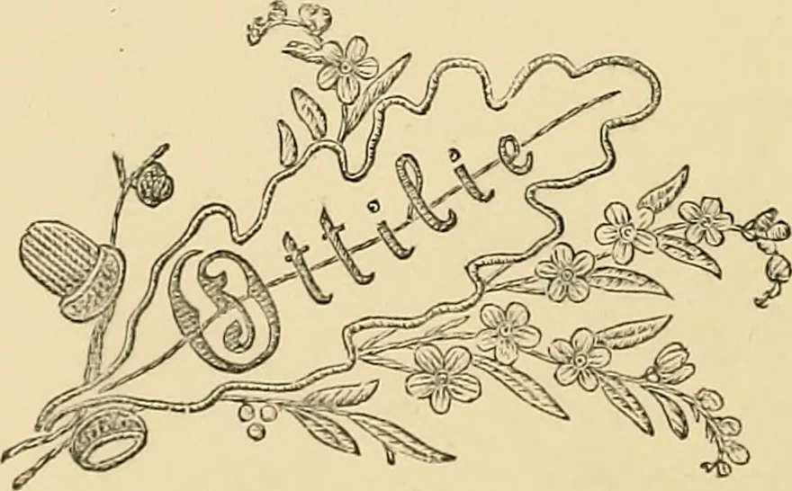 An illustration from Art needlework. A complete manual of embroidery in silks and crewels, with full instructions as to stitches, materials, and implements. Containing also a large number of original designs and a handsome coloured design for crewel work, 1882, leaf 27