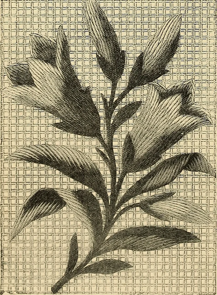 An illustration from Art needlework. A complete manual of embroidery in silks and crewels, with full instructions as to stitches, materials, and implements. Containing also a large number of original designs and a handsome coloured design for crewel work, 1882, leaf 53
