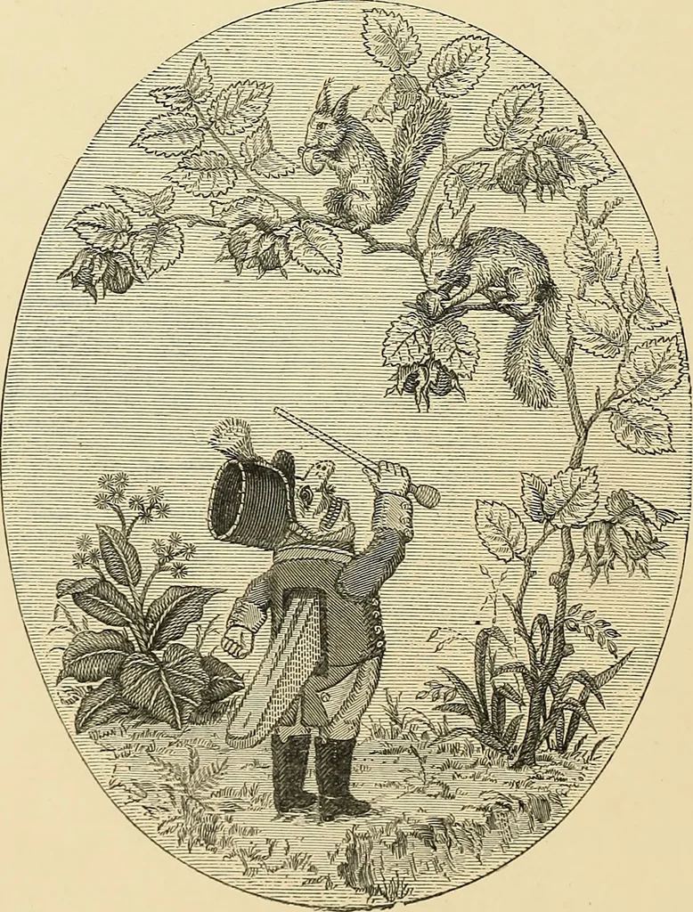 An illustration from Art needlework. A complete manual of embroidery in silks and crewels, with full instructions as to stitches, materials, and implements. Containing also a large number of original designs and a handsome coloured design for crewel work, 1882, leaf 59
