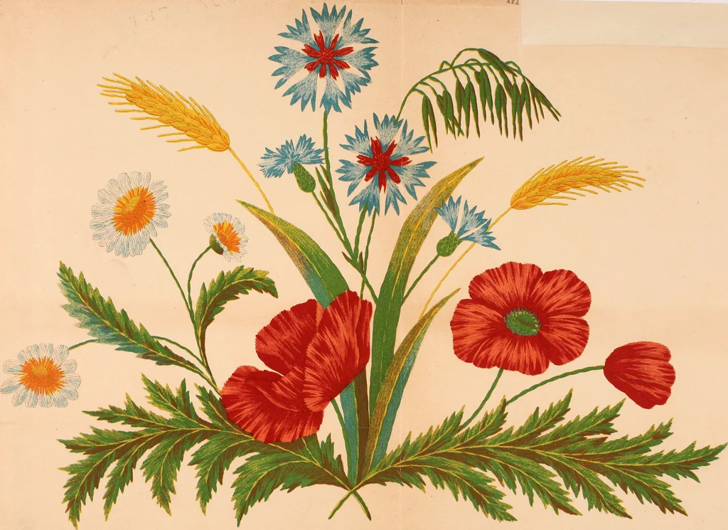 An illustration from Art needlework. A complete manual of embroidery in silks and crewels, with full instructions as to stitches, materials, and implements. Containing also a large number of original designs and a handsome coloured design for crewel work, 1882, leaf 8