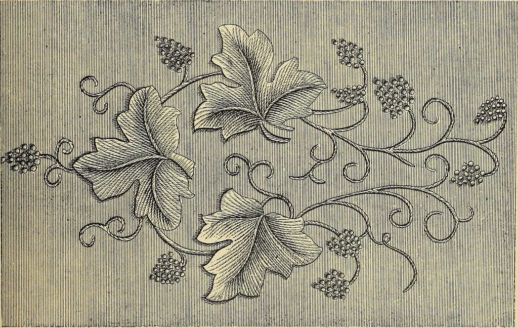 An illustration from Art needlework. A complete manual of embroidery in silks and crewels, with full instructions as to stitches, materials, and implements. Containing also a large number of original designs and a handsome coloured design for crewel work, 1882, leaf 90