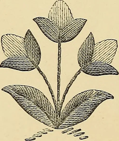 An illustration from Art needlework. A complete manual of embroidery in silks and crewels, with full instructions as to stitches, materials, and implements. Containing also a large number of original designs and a handsome coloured design for crewel work, 1882, leaf 99