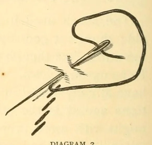 An illustration from Art-needlework for decorative embroidery;, 1879, leaf 58