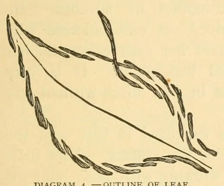 An illustration from Art-needlework for decorative embroidery;, 1879, leaf 59