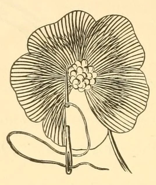 An illustration from Art-needlework for decorative embroidery;, 1879, leaf 60