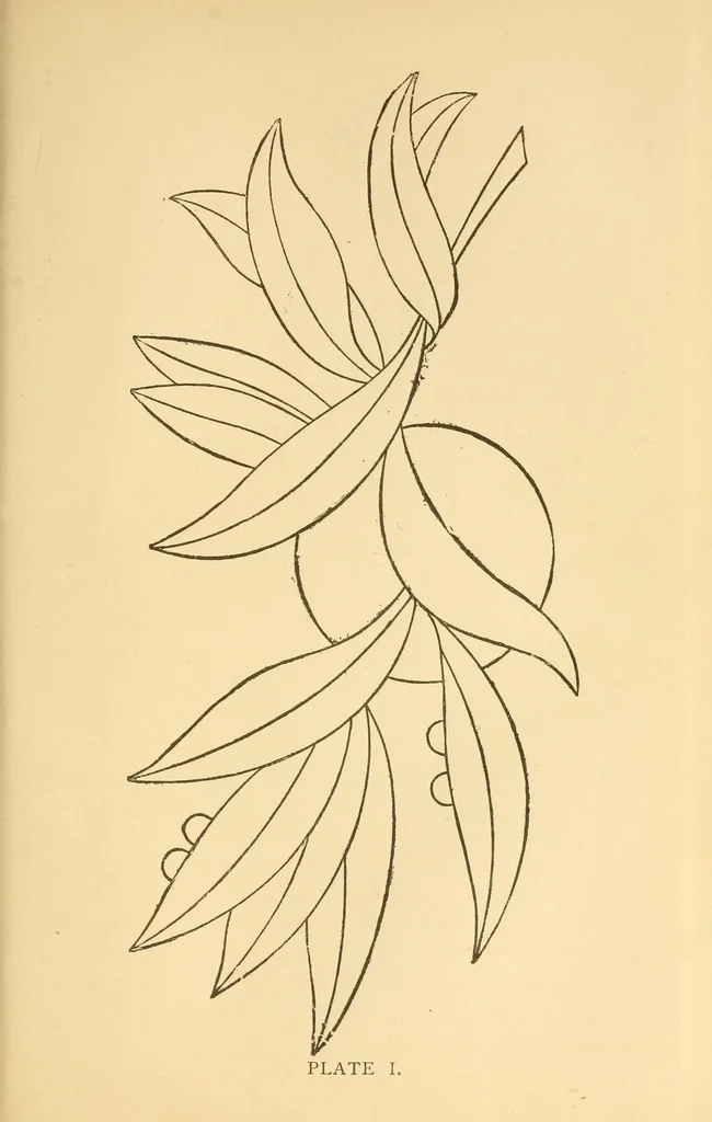 An illustration from Art-needlework for decorative embroidery;, 1879, leaf 87