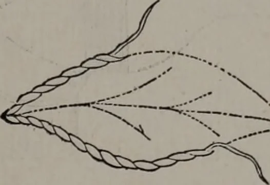 An illustration from Art-needlework for decorative embroidery : a guide to embroidery in crewels, silks, appliqué, etc. ..., 1879, leaf 10