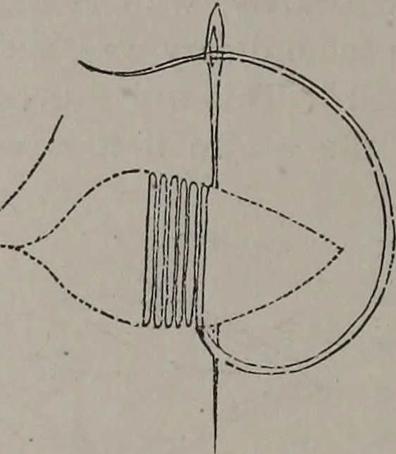An illustration from Art-needlework for decorative embroidery : a guide to embroidery in crewels, silks, appliqué, etc. ..., 1879, leaf 11